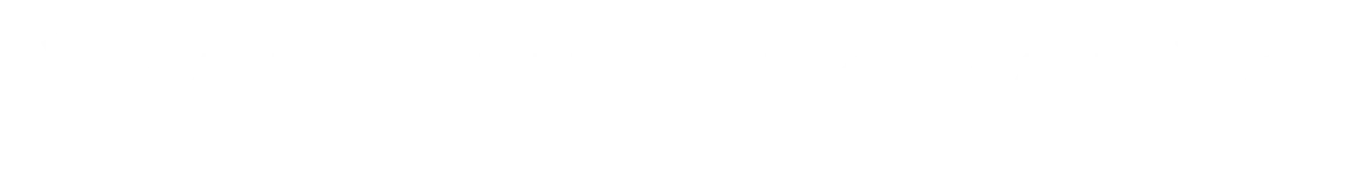 light logo